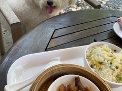 -阿那亚第一食堂 Cafeteria 1