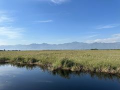 -野鸭湖国家湿地公园