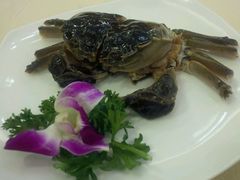 -王宝和酒家(黄浦店)
