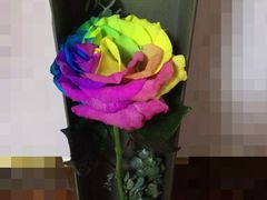 iphone_upload_pic-豆豆花艺(新光天地店)