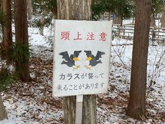 -北海道神宫