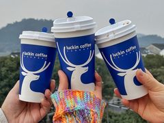 -树山生态村