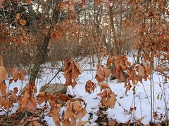 -沈阳辉山风景区