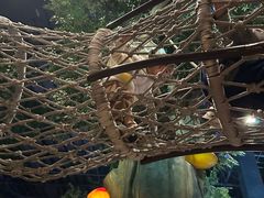 -蓝精灵乐园·世茂精灵之城主题乐园