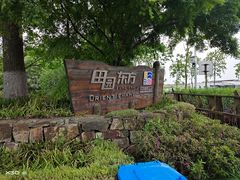 -田园东方蜜桃村的田野营地
