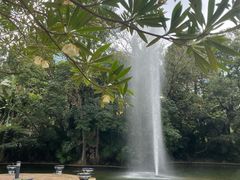 -九龙公园