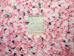 -宫川形象