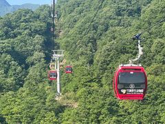 -栾川竹海野生动物园