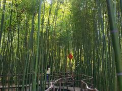 -竹泉村旅游度假区