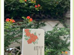 -青果巷历史文化街区