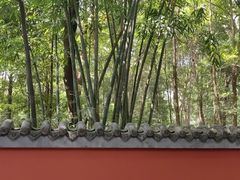 -成都杜甫草堂博物馆
