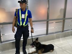 -尼诺伊·阿基诺国际机场T1航站楼