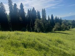 -新疆那拉提国家旅游度假区