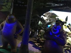 -江和美海洋公园