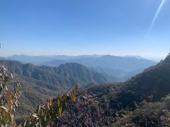 -大岭沟猕猴桃谷风景区