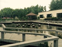 渔堂公园餐厅-渔堂公园餐厅·本帮菜(乐园路店)