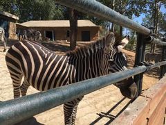 -大连森林动物园