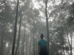 -缙云山索道售票处