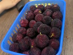 -绿姿鲜奶烘焙(世南西路店)