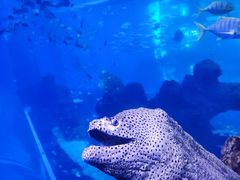 -成都浩海立方海洋公园