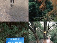 -福道