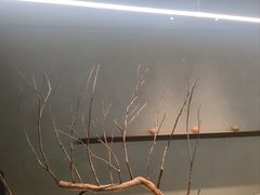 -喜茶(深圳万象城黑金店)