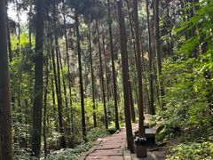 -青城山