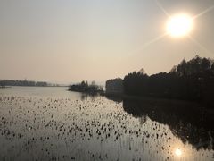-东湖落雁景区