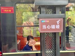 -合肥滨湖国家森林公园