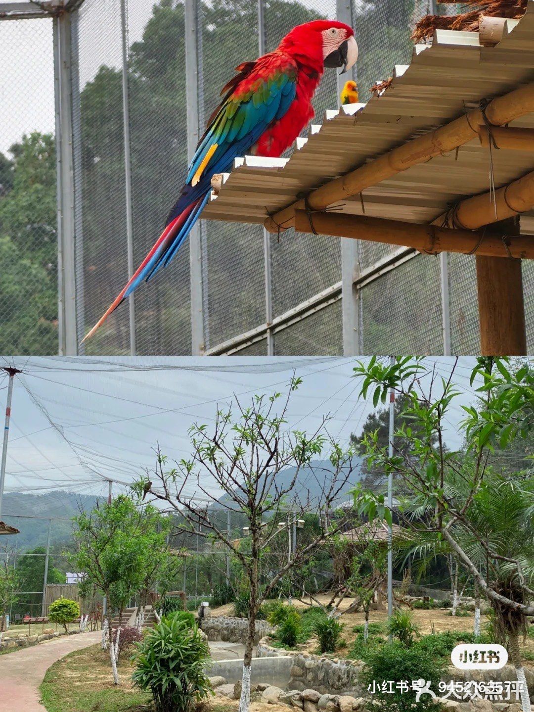 🐒肇庆周边游|四会大虫生态动物乐园|亲子游