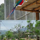 🐒肇庆周边游|四会大虫生态动物乐园|亲子游