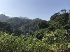 -梧桐山风景名胜区