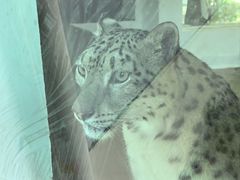 -青藏高原野生动物园