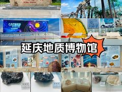 -延庆地质公园博物馆