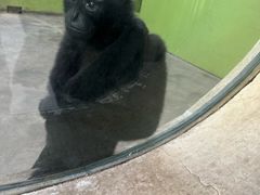 -石家庄市动物园