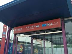 飞翔公园-地铁站-飞翔公园(地铁站)