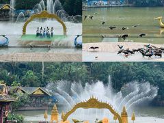 -西双版纳原始森林公园