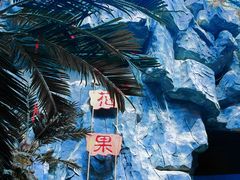 -长春中泰海洋世界
