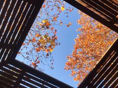 -春晖园度假酒店温泉