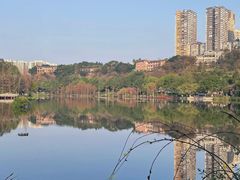 -重庆彩云湖湿地公园