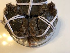 -黄记大闸蟹专卖店·活蟹·醉蟹