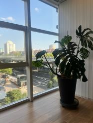 点击看大图 -阿南达·瑜伽普拉提·阿育吠陀疗愈中心