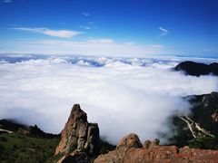 -白草畔自然风景区