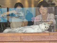 -Again Coffee Roaster(香蜜湖店)