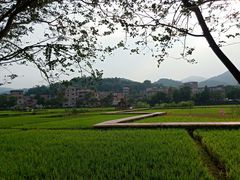 -红山村