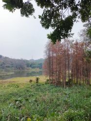 -佛灵湖水上乐园