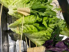 -签尚佰味小郡肝串串香火锅(朝阳路店)