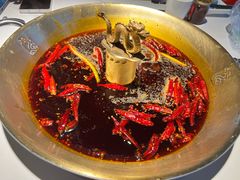 -小龙翻大江文化火锅(宽窄店)