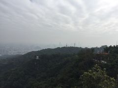 -广州都市观光巴士(粤陶巴)