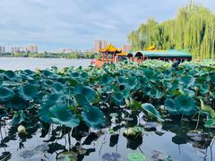 -济南大明湖景区